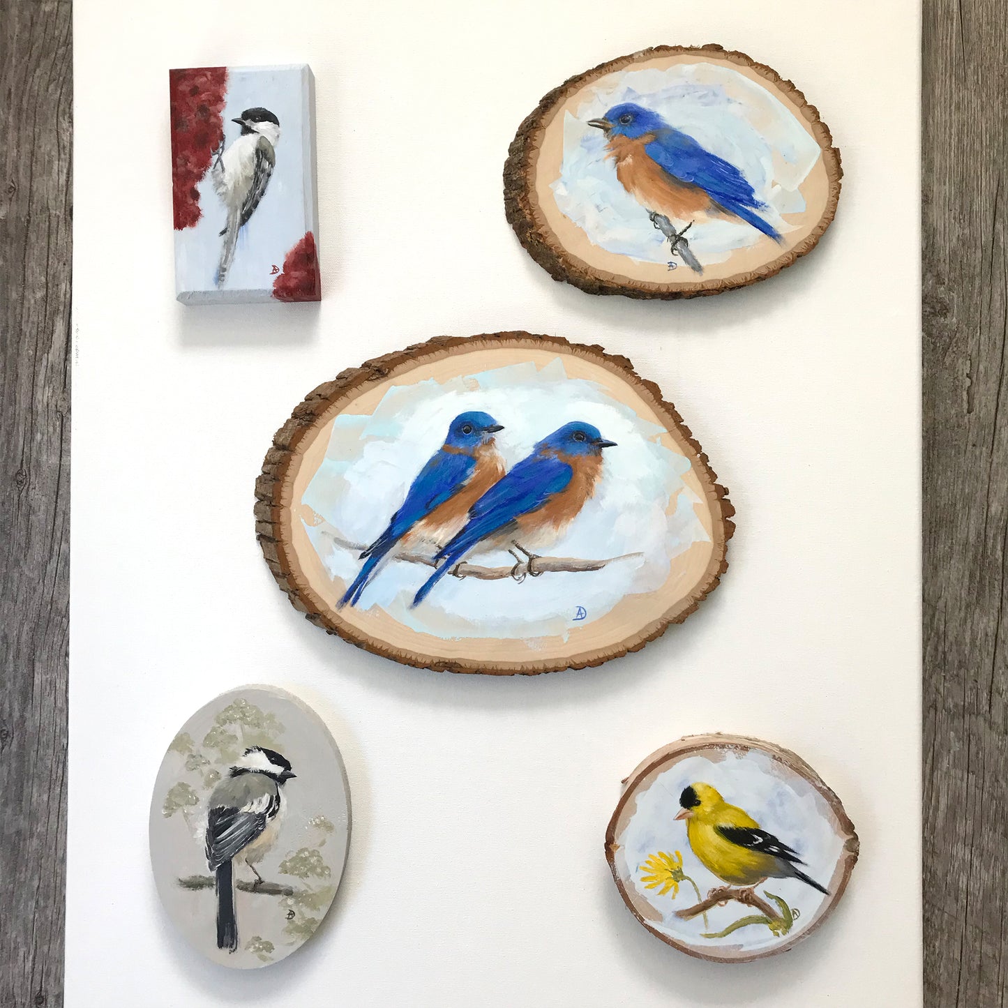 Bird paintings, acrylic on wood, by Andreea Dumez