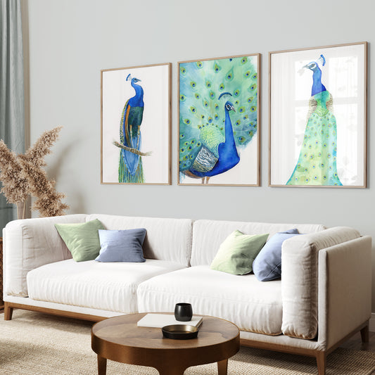 Set of 3 art prints of peacocks