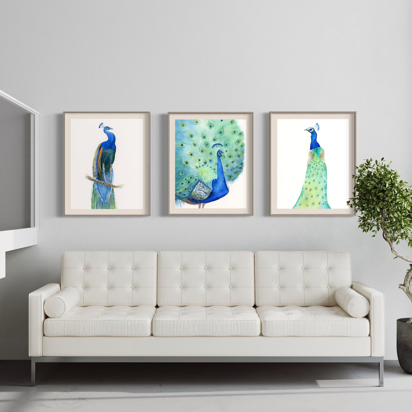 Set of 3 peacock birds - art prints