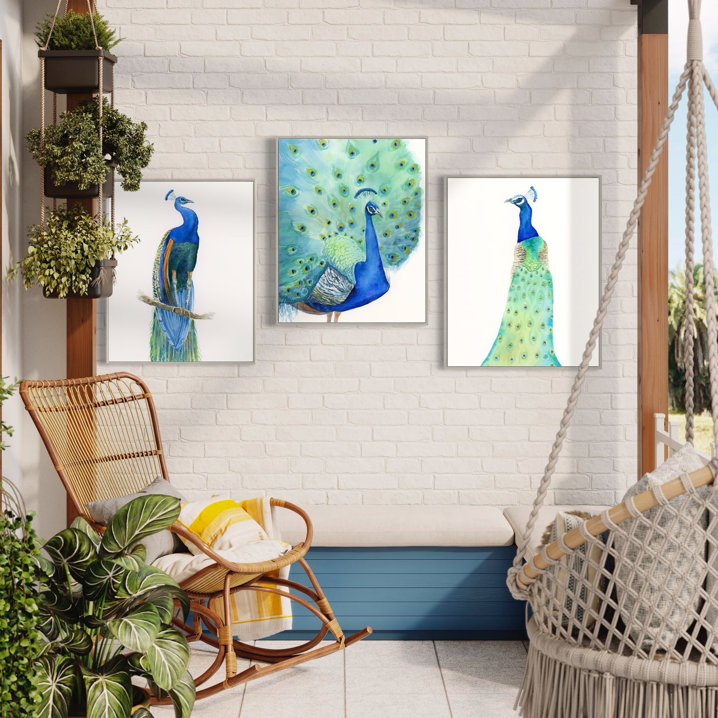 Set of 3 peacock birds displayed in a sunroom- art prints