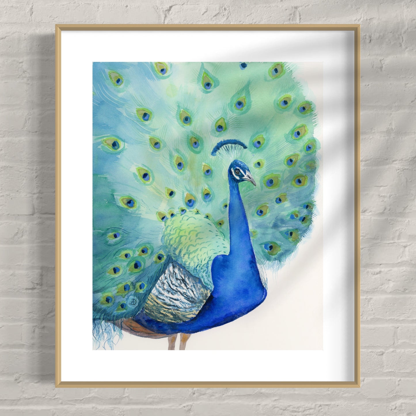 Peacock No1 - Art Print