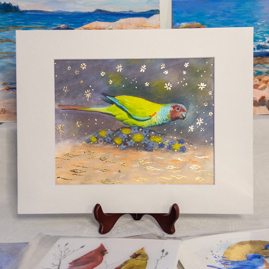 "Pfrimer's Parakeet" - art prints with gold leaf