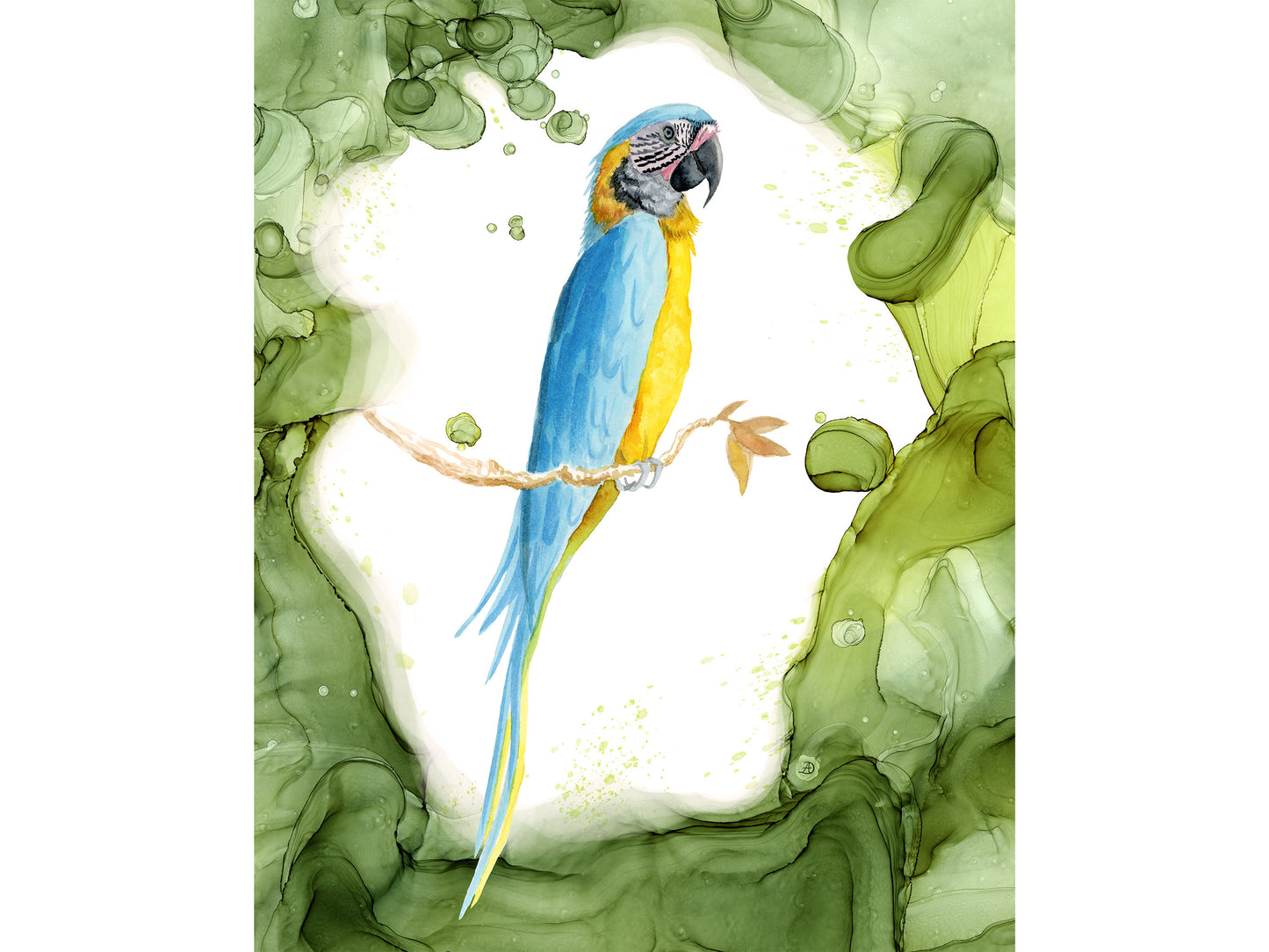 Blue and Yellow Macaw - Tropical Bird Art Print