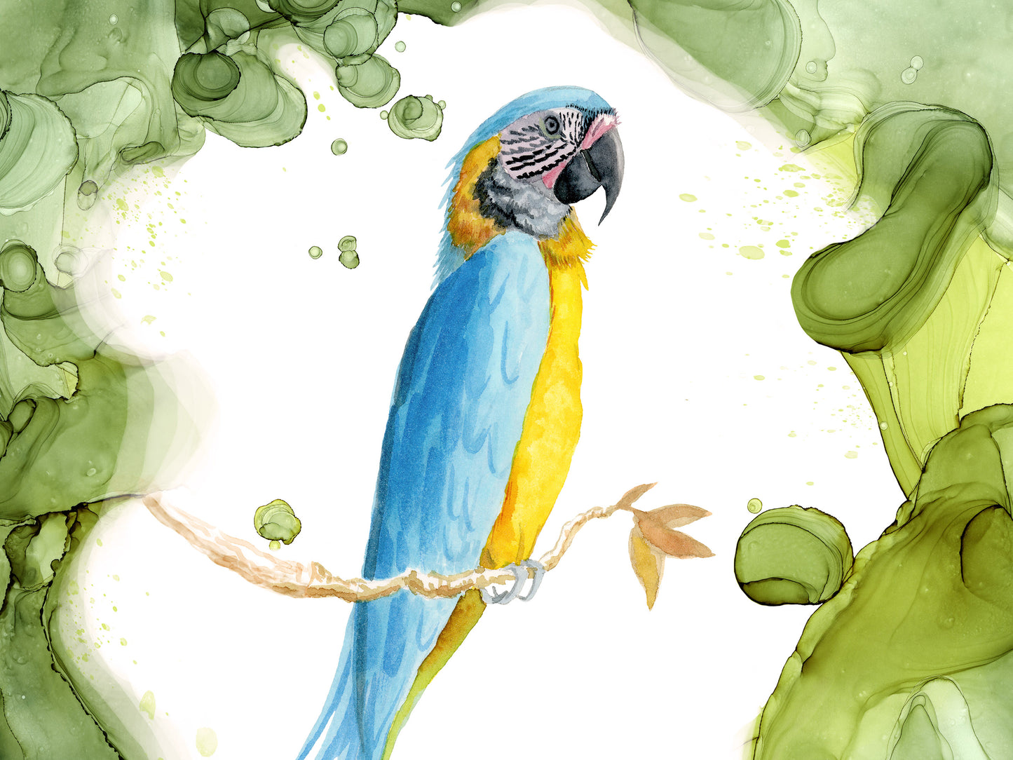 Blue and Yellow Macaw - Tropical Bird Art Print
