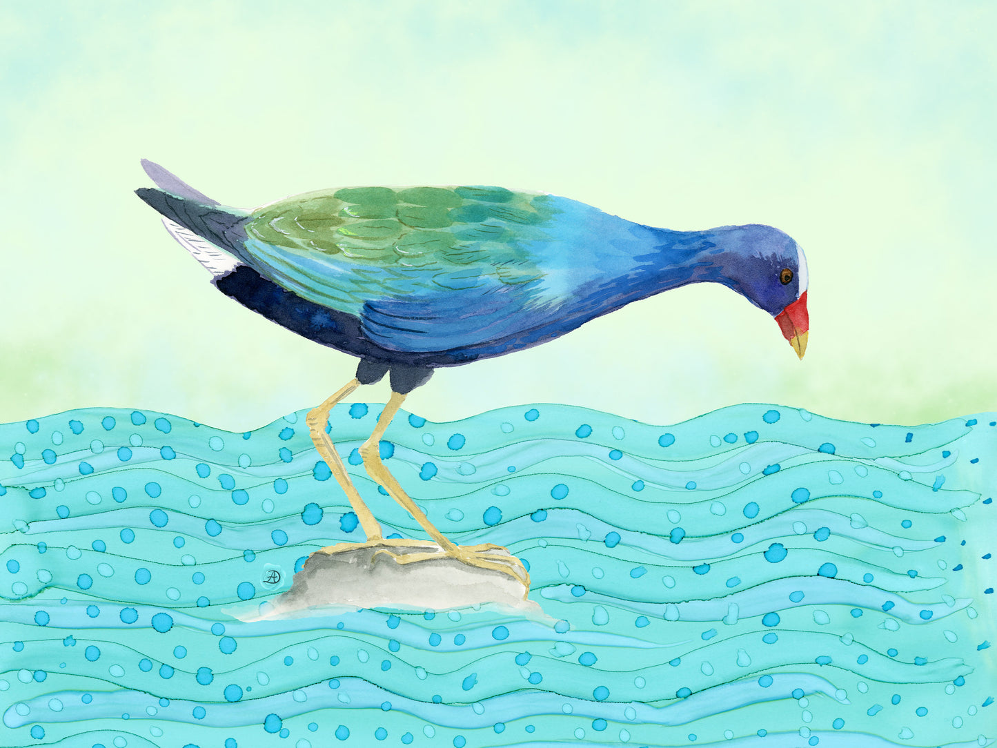 Purple Gallinule Bird Art Print