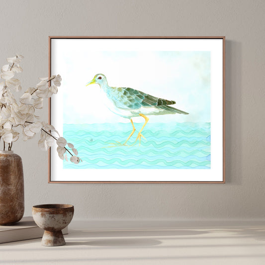 Azure Gallinule - Bird Art Print