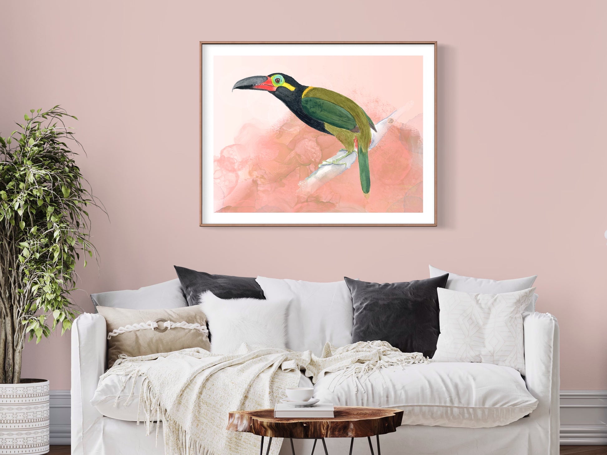 Guiana Toucanet 